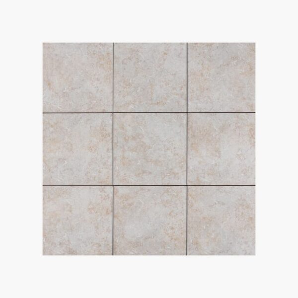 Demo Ceramic Floor Tile