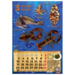 KALENDAR &QUOT;RIBARNICA 2026&QUOT; 13 LISTOVA, SPIRALA - Image 8