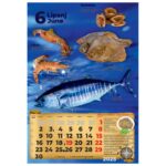 KALENDAR &QUOT;RIBARNICA 2026&QUOT; 13 LISTOVA, SPIRALA - Image 11