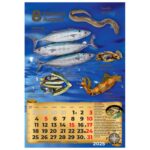 KALENDAR &QUOT;RIBARNICA 2026&QUOT; 13 LISTOVA, SPIRALA - Image 13