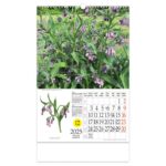 KALENDAR &QUOT;LJEKOVITO BILJE&QUOT; S ROTACIJSKIM KRUGOM, SPIRALA, NIKOPROM - Image 5