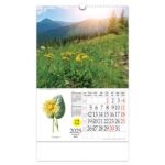 KALENDAR &QUOT;LJEKOVITO BILJE&QUOT; S ROTACIJSKIM KRUGOM, SPIRALA, NIKOPROM - Image 7