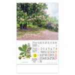 KALENDAR &QUOT;LJEKOVITO BILJE&QUOT; S ROTACIJSKIM KRUGOM, SPIRALA, NIKOPROM - Image 8