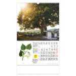 KALENDAR &QUOT;LJEKOVITO BILJE&QUOT; S ROTACIJSKIM KRUGOM, SPIRALA, NIKOPROM - Image 10