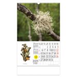 KALENDAR &QUOT;LJEKOVITO BILJE&QUOT; S ROTACIJSKIM KRUGOM, SPIRALA, NIKOPROM - Image 12