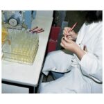 MARKER PERMANENTNI 1,5-3 MM OKRUGLI VRH EDDING 300 CRNI - Image 2