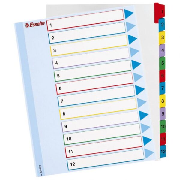 PREGRADA KARTONSKA PRESVUČENA FILMOM A4 KOLOR 12L ESSELTE 100209