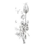 OLOVKA GRAFITNA 4B CASTELL 9000 FABER-CASTELL 119004 - Image 2