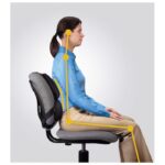 ODMARAČ ZA LEĐA FELLOWES 8041801 CRNI - Image 2