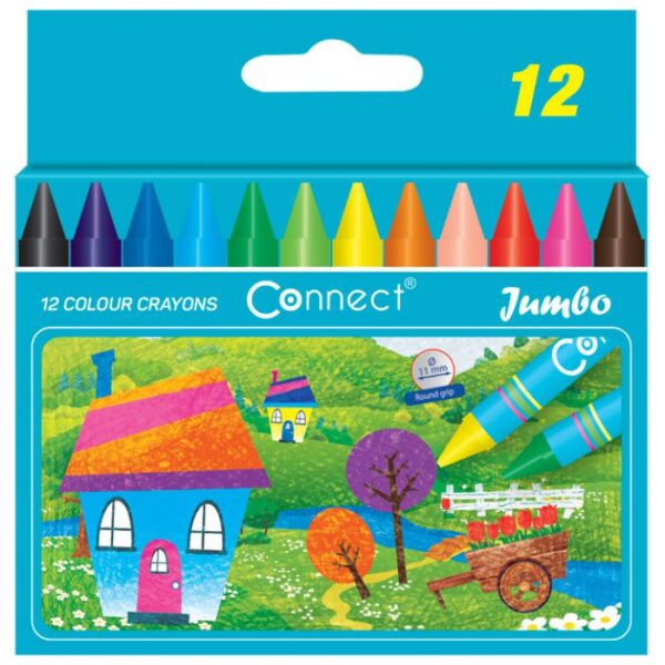 BOJE VOŠTANE 12BOJA KARTONSKA KUTIJA JUMBO CONNECT