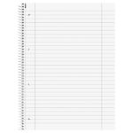 BLOK KOLEGIJ A4 CRTE  80L PERFORACIJA PLUS 4RUPE ZENART PARROT BRUNNEN 10-67427 * DO ISTEKA ZALIHA - Image 2