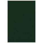 FILC UKRASNI A4 PK10 KNORR PRANDELL 21-8436460 TAMNOZELENI