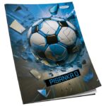 OBRAZAC ŠKOLSKI PISANKA &QUOT;D&QUOT; ZA 4RAZRED PREMIUM CONNECT BOY