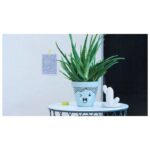 MARKER PERMANENTNI LAKIRAJUĆI 2-4 MM EDDING 750 CRNI - Image 5