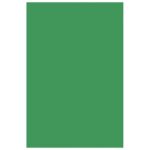 FILC UKRASNI A4 PK10 KNORR PRANDELL 21-8436437 ZELENI