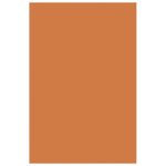 FILC UKRASNI A4 PK10 KNORR PRANDELL 21-8436117 NARANČASTI