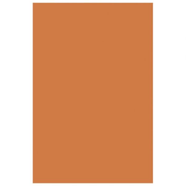 FILC UKRASNI A4 PK10 KNORR PRANDELL 21-8436117 NARANČASTI