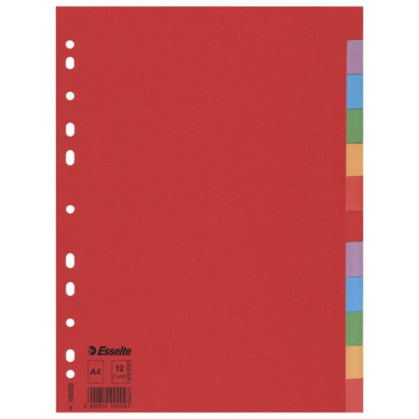 PREGRADA KARTONSKA A4 KOLOR 12LISTOVA ECONOMY ESSELTE 100202