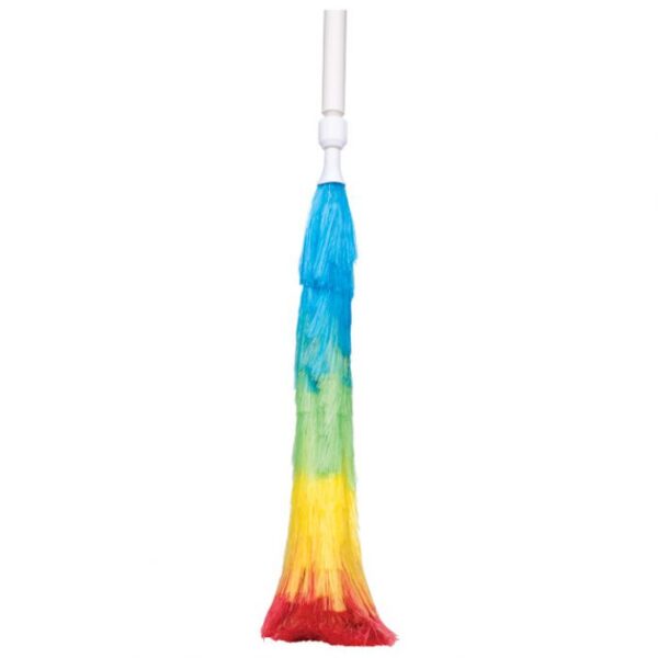 PRIBOR ZA ČIŠĆENJE-PRAŠKO ZA PRAŠINU S DRŠKOM