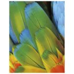 BOJA TEMPERA ZA TEKSTIL 125ML PRIMO 410TX125100 BIJELA - Image 2