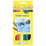 BOJE DRVENE  12BOJA COLOR EDUCA BLISTER