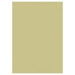 PAPIR U BOJI A4 130G PK100 HEYDA 20-47116 94 ZLATNI