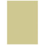 PAPIR U BOJI A4 300G PK50 HEYDA 20-47165 94 ZLATNI