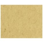 PAPIR ILK ELEFANT A4 110G PK100 HEYDA 20-48310 11 ŠAMOA * DO ISTEKA ZALIHA