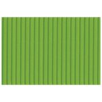 PAPIR UKRASNI DVOSLOJNI REBRASTI B2 PK10 300G HEYDA 20-47132 53 SVIJETLOZELENI