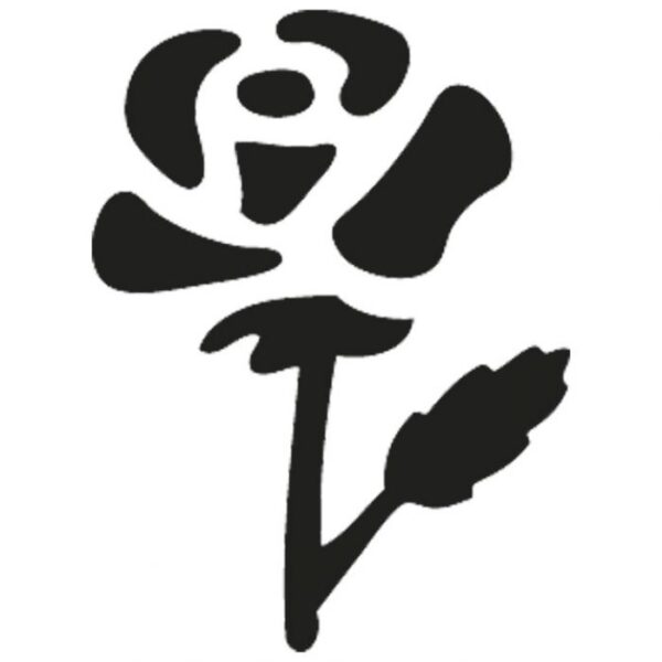 BUŠAČ 1 RUPA VEĆA-RUŽA HEYDA 20-36875 33 BLISTER