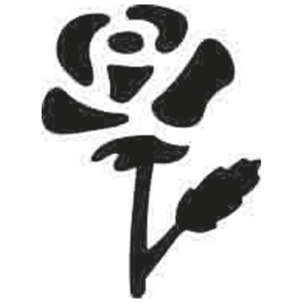 BUŠAČ 1 RUPA MALA-RUŽA HEYDA 20-36874 56 BLISTER