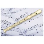 INSTRUMENT BLOK FLAUTA PLASTIČNI PLUS ČISTAČ ARDA 117M - Image 3