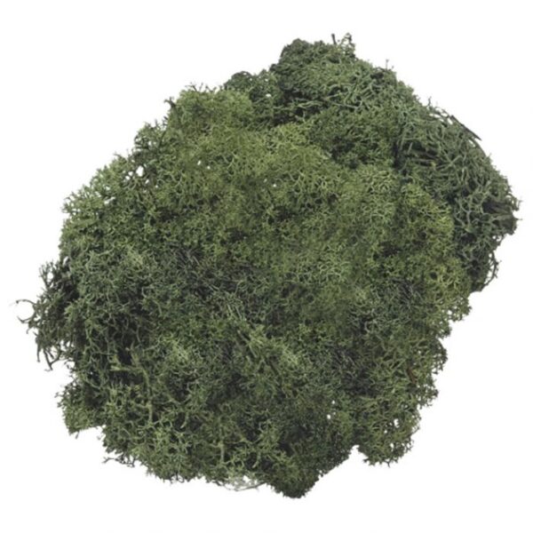 MAHOVINA ISLANDSKA UMJETNA 50G KNORR PRANDELL 21-6694462 ZELENA