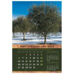 KALENDAR &QUOT;MASLINE 2026&QUOT; 13 LISTOVA, SPIRALA - Image 2