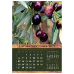 KALENDAR &QUOT;MASLINE 2026&QUOT; 13 LISTOVA, SPIRALA - Image 3