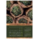 KALENDAR &QUOT;MASLINE 2026&QUOT; 13 LISTOVA, SPIRALA - Image 4