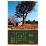 KALENDAR &QUOT;MASLINE 2026&QUOT; 13 LISTOVA, SPIRALA - Image 5