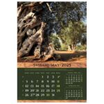 KALENDAR &QUOT;MASLINE 2026&QUOT; 13 LISTOVA, SPIRALA - Image 9