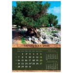 KALENDAR &QUOT;MASLINE 2026&QUOT; 13 LISTOVA, SPIRALA - Image 11