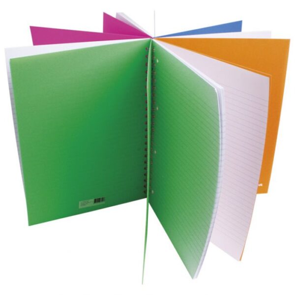 BLOK KOLEGIJ A4 CRTE 100L PERFORACIJA PLUS 4RUPE NEON CONNECT SORTIRANO