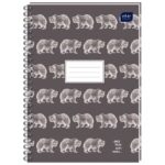 BLOK KOLEGIJ A4 KARO 160L PERFORACIJA PLUS 4RUPE RUB U BOJI INTERDRUK - Image 8