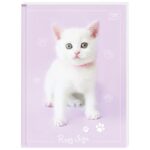 TEKA TVRDI UVEZ A6 KARO 96L 70G INTERDRUK - Image 3