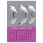 KALENDAR &QUOT;ZRCALA U PRIRODI 2026&QUOT; 13 LISTOVA, SPIRALA - Image 2