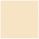 PAPIR ILK U BOJI A4 120G PK25 MONDI CR20 BEŽ