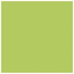 PAPIR ILK U BOJI A4 120G PK25 MONDI MA42 ZELENI