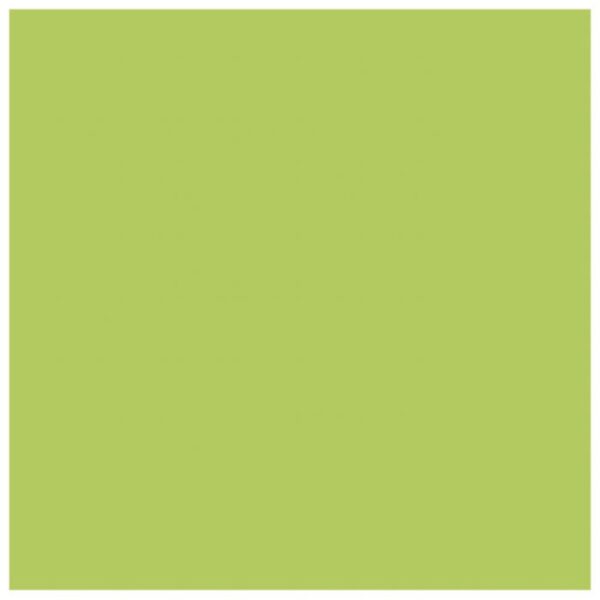 PAPIR ILK U BOJI A4 120G PK25 MONDI MA42 ZELENI