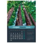 KALENDAR &QUOT;ŠUMSKA PRIČA 2026&QUOT; 13L, SPIRALA - Image 7