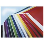 FASCIKL MEHANIKA EURO PVC A4 LEITZ 41910101 BIJELI