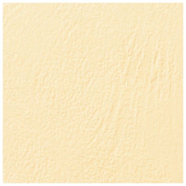 KORICE ZA SPIRALNI UVEZ 250G KARTON RELJEFNE A4 PK100 GBC CE040065 BEŽ