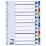 PREGRADA PLASTIČNA A4 KOLOR 12LISTOVA ESSELTE 15262